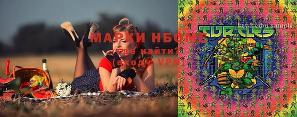 шишки Семёнов