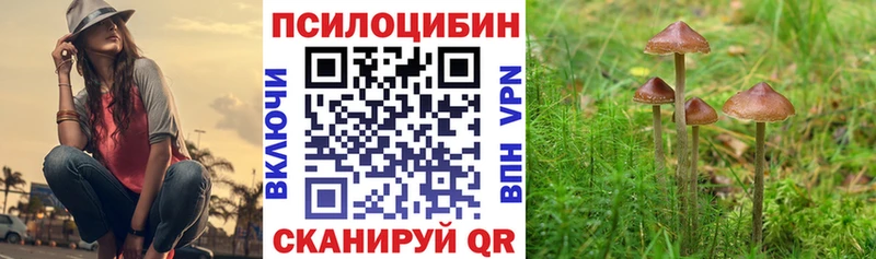 Галлюциногенные грибы мухоморы Высоцк