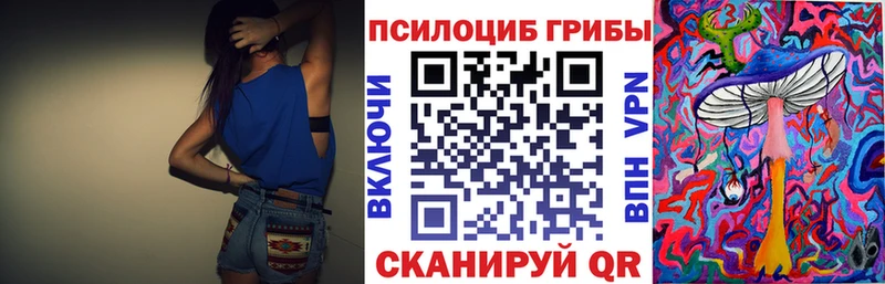 Псилоцибиновые грибы Cubensis  Высоцк 